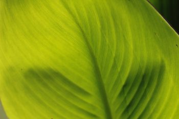 Environmental Protection