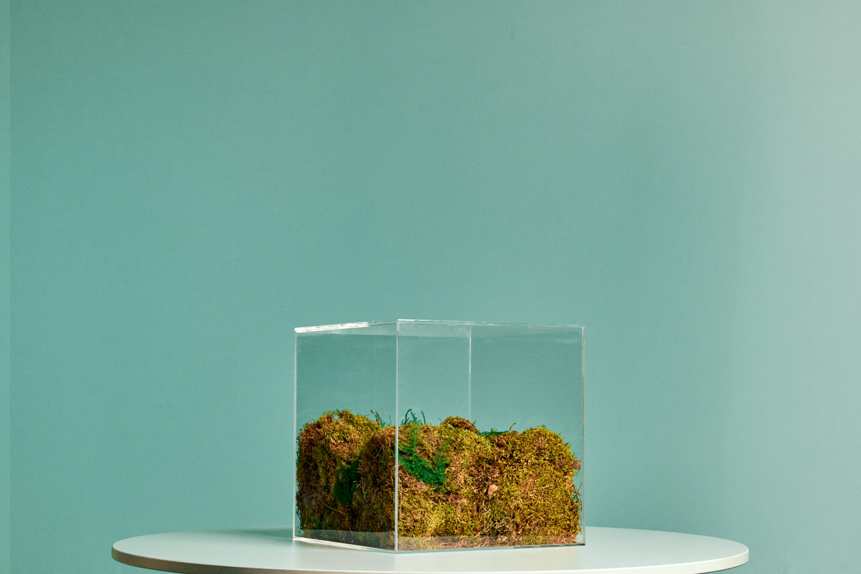 Was macht Green+ klimaneutral?