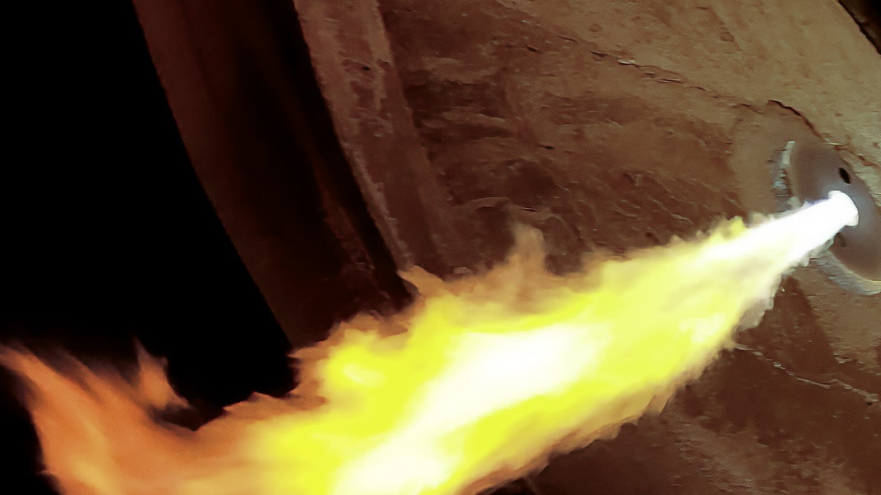 logo Search Sarralle and Nippon Gases: joining forces