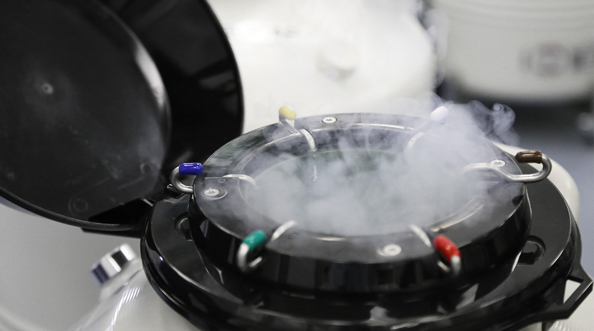 Molienda criogénica