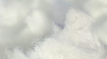 Wash delignified pulp