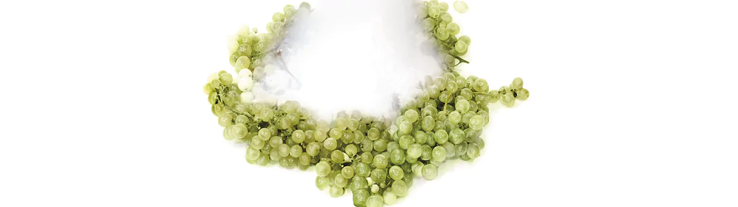 Aplicaciones para la vendimia