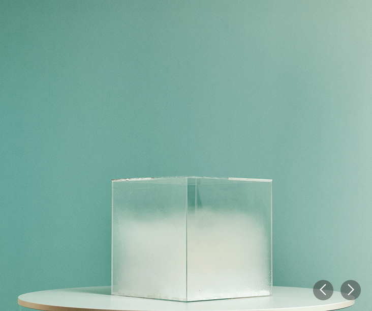 Qu'est-ce qui rend Green+ neutre en carbone ?