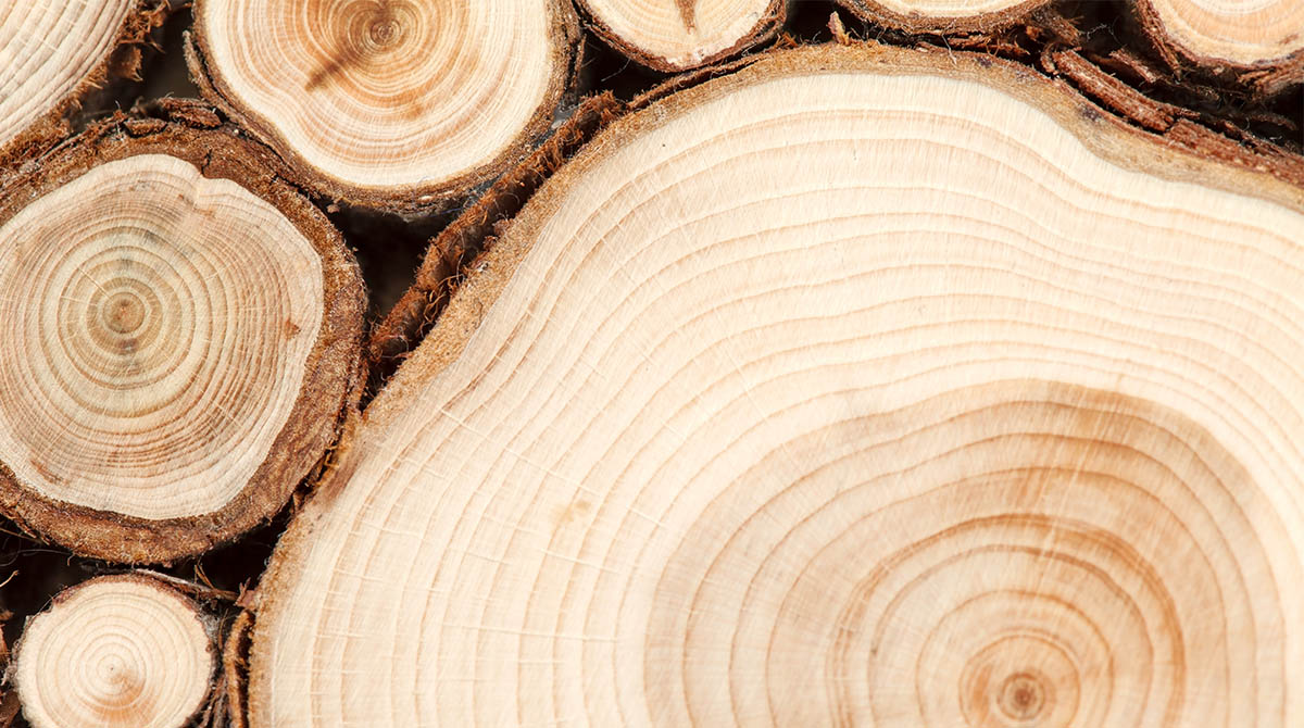 In mills that use cellulose as raw material