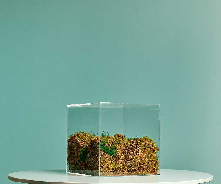 Cosa rende Green+ carbon neutral?