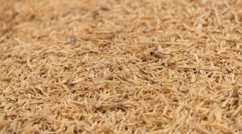 Kraft pulp pH control