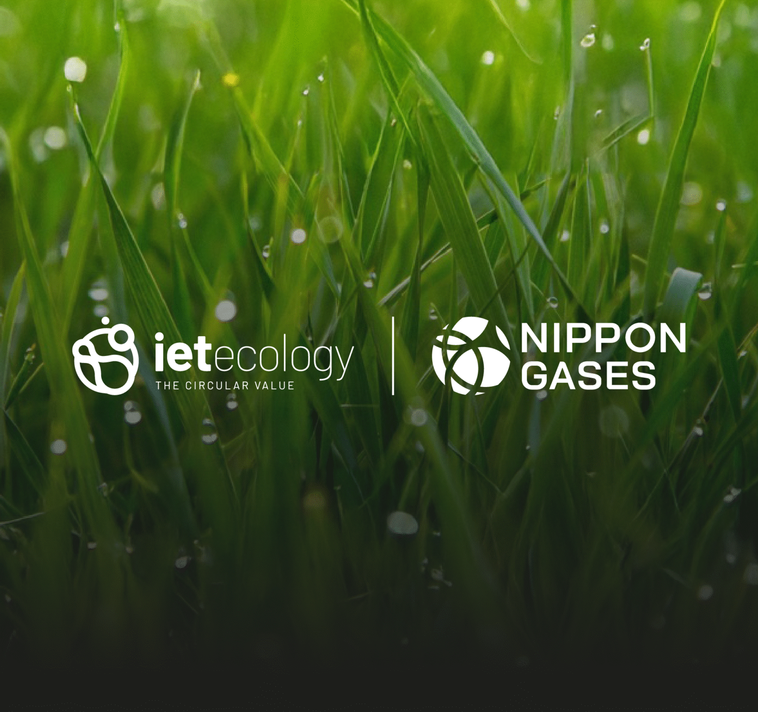 Extending Decarbonisation Solutions
