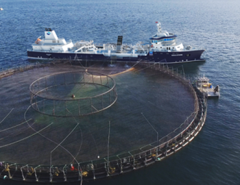 A maior parte dos navios de pesca recém-construídos estão preparados para a armazenagem de animais vivos. Esta pescaria está a sofrer um rápido desenvolvimento, o que terá um grande impacto no futuro da indústria pesqueira.