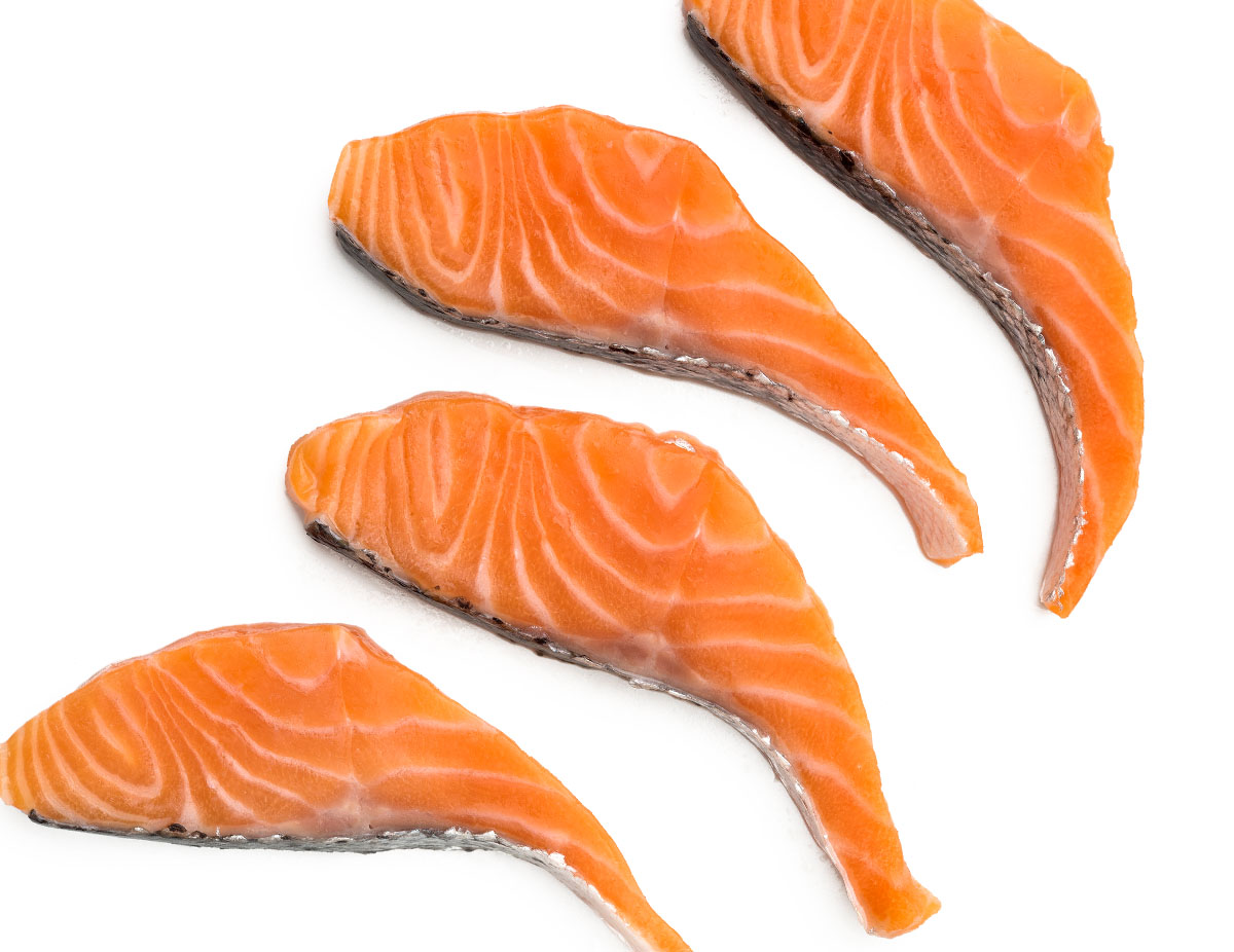 salmon